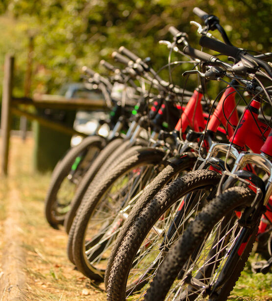 Deporventura Valdemurio